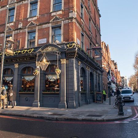 Blackbird London Bagian luar foto